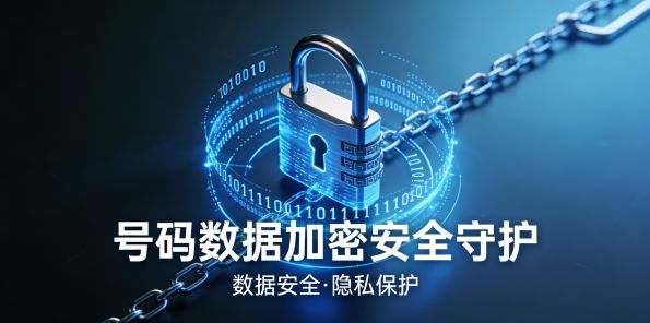 号码数据加密